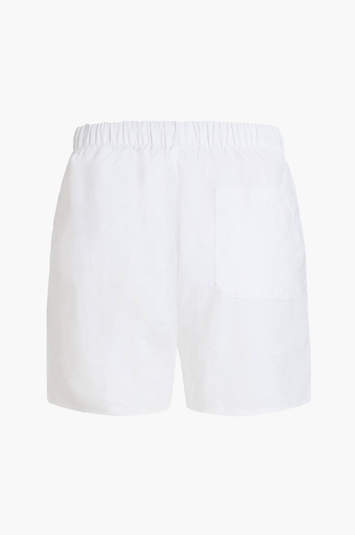 Boxer mare basic