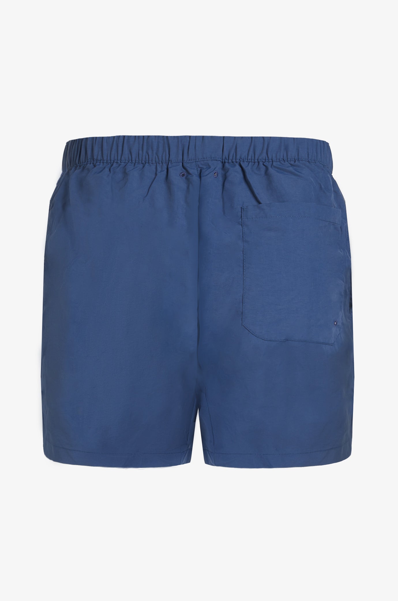 Boxer mare basic