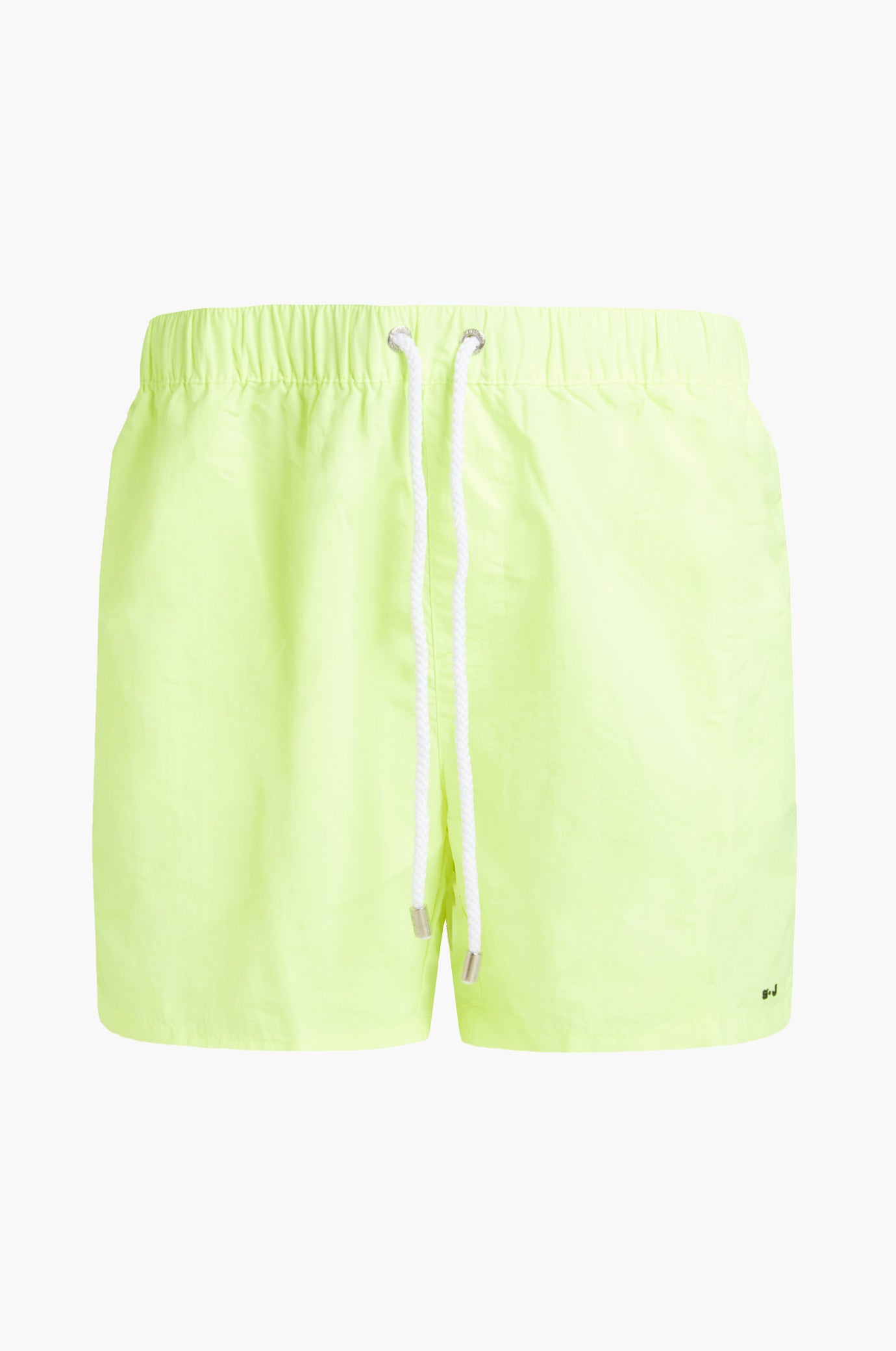 Boxer mare basic