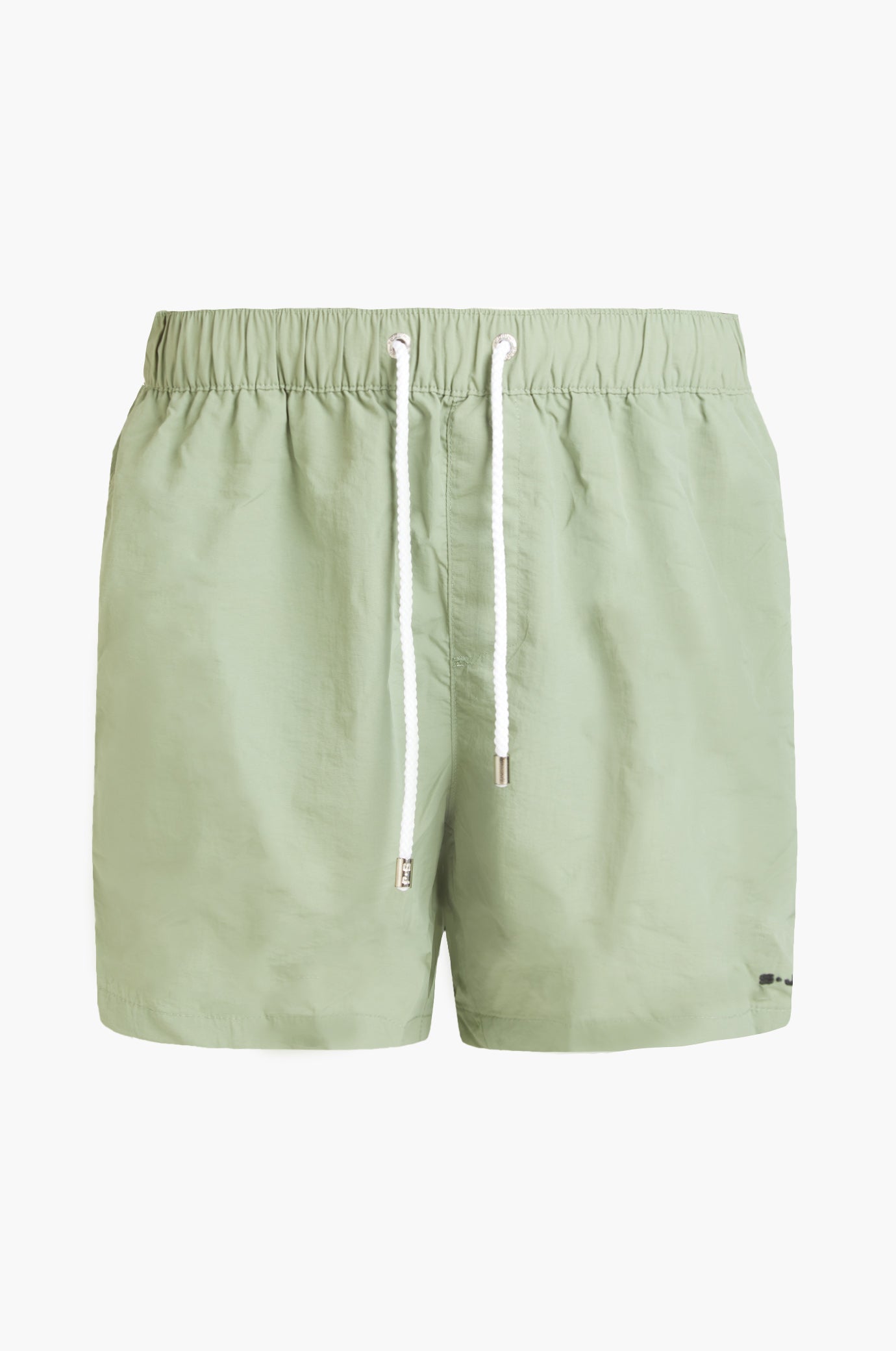 Boxer mare basic