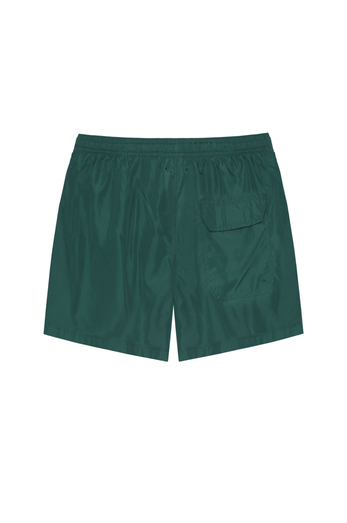 Boxer mare SJ|Colore:Bosco